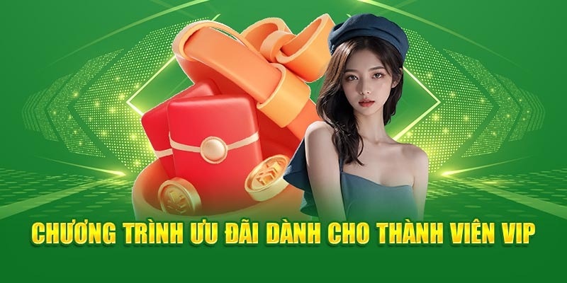 Vip sẽ luôn được hưởng ưu đãi riêng từ QQ88